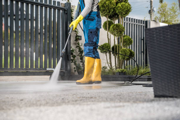 Best Local Pressure Washing Services  in Hortonville, WI